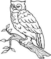Owl Coloring Pages 3 4
