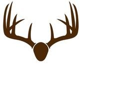 Brown Deer Skull Mount Vector Online Royalty