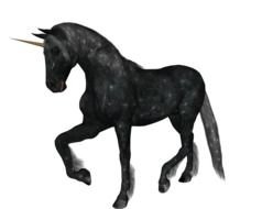 Black Unicorn drawing