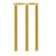 painted cricket gate