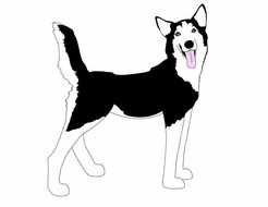 Husky Paw Print Car Tuning