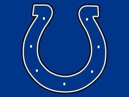 painted blue horseshoe on a blue background