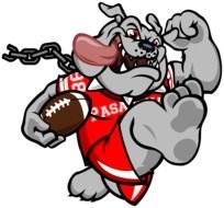 angry bulldog with ball for american football