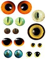 Eyes of animals clipart