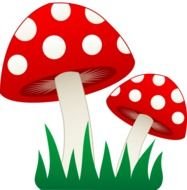 Two Mushrooms In Grass Free