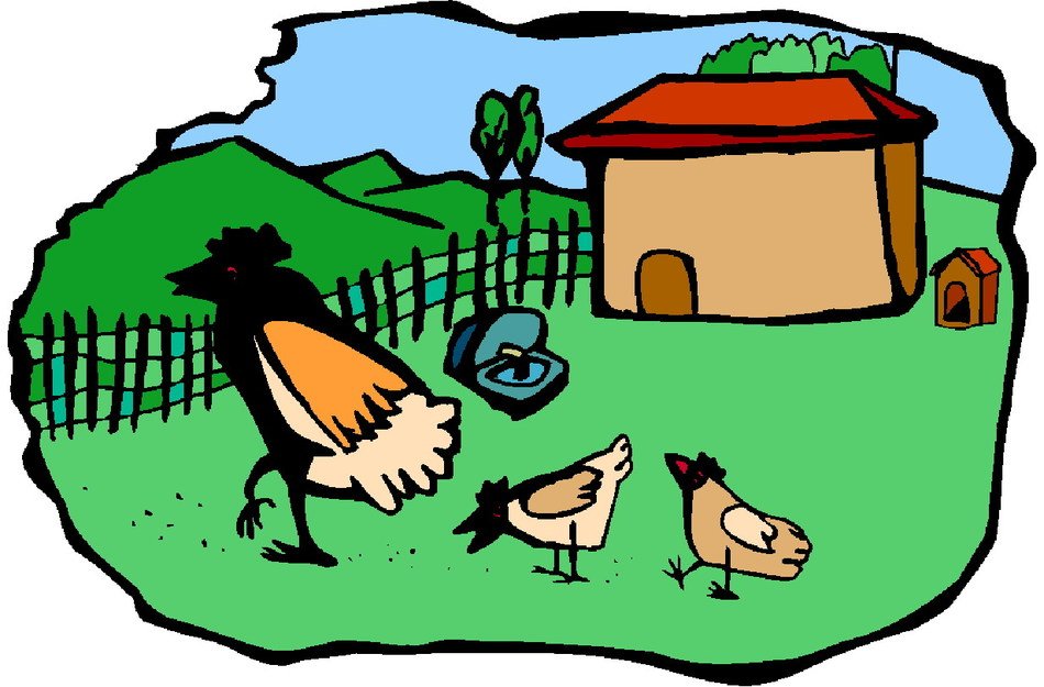 chiks on farm, drawing