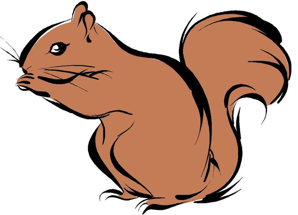 Squirrel Free drawing