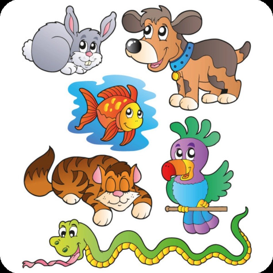 Kinder Wandtattoo Haustiere 2 Wandprinzch