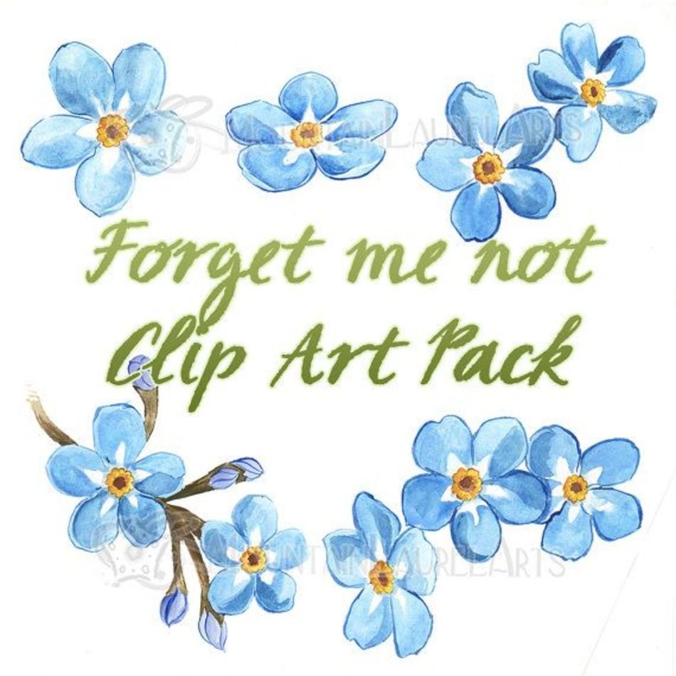 Clipart Forget Me Not Watercolor Painting Digital Collage