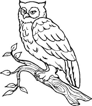 Owl Coloring Pages 3 4
