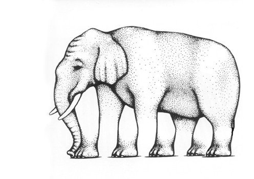 Comment Fonctionnent Les Illusions D&rsquo;optiques Caco 8 Ans
