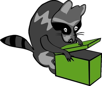 Raccoon Opening Box Is Free Vector That You