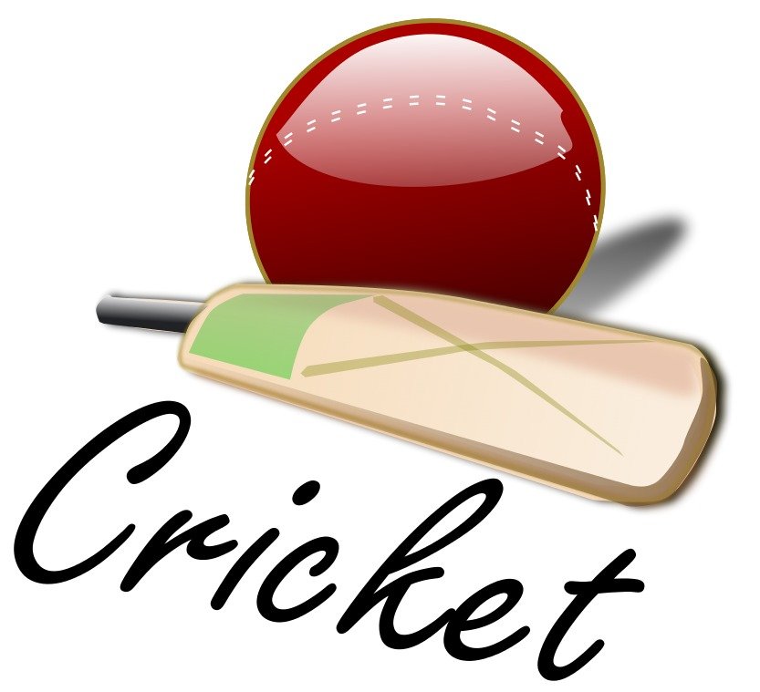 Cricket vector drawing