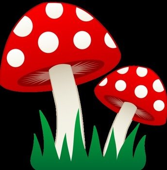 Two Mushrooms In Grass Free