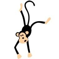 funny black monkey on a white background