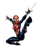 drawn Spider-man is hanging on a web on a white background