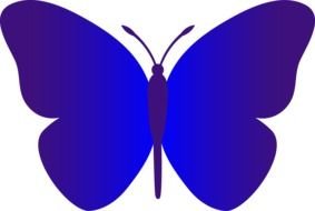 Simple Blue Butterfly drawing