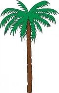 tall palm tree, drawing