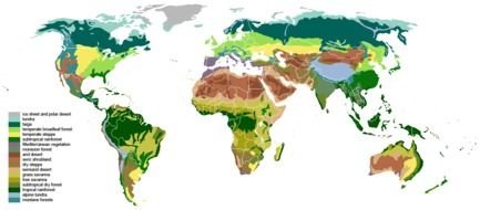 clipart of the world map ecosystems