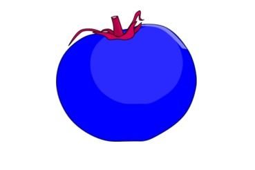Tomato Vector