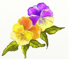 Summer flowers N28