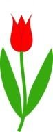 Clipart of the red tulip