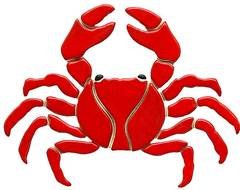 Sea Crabs Pictures Homedepotxcom