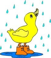 Duck In The Rain drawing