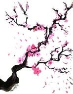 nice Cherry Blossoms drawing