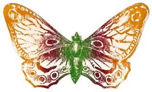 clipart of the colorful butterfly