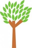 Leaves On Trees N2