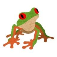 Drawing of the Red-eyed tree frog clipart