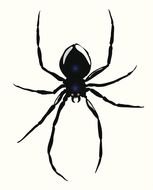 Black spider clipart