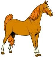 Coney Dog clipart