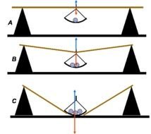 Examples Of Newtons Third Law In Everyday Life