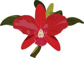 Clipart of red beautiful flower