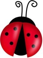 Ladybug Free Sco