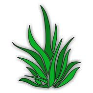 painted green mountain grass