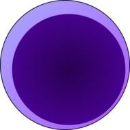 Erythrocyte Red Blood