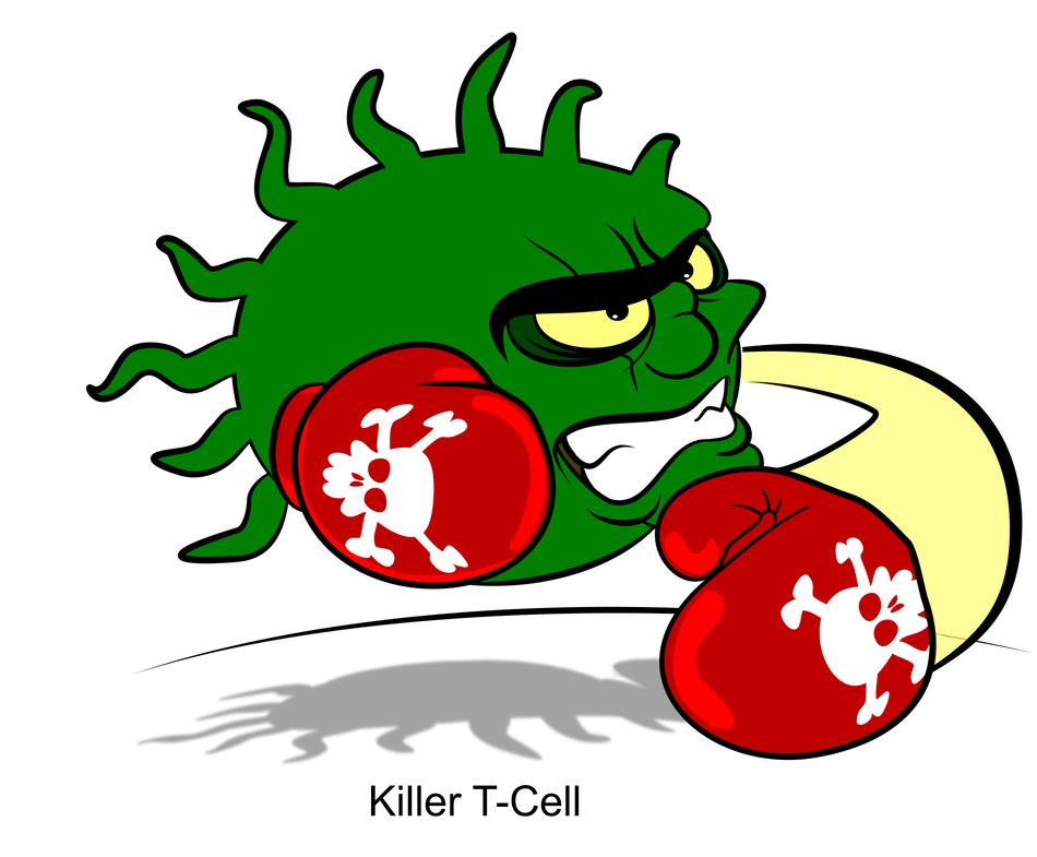 monster boxer drawing