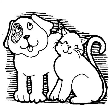 Cat And Dog Licenses Are Due To Renewed If You Coming Into The