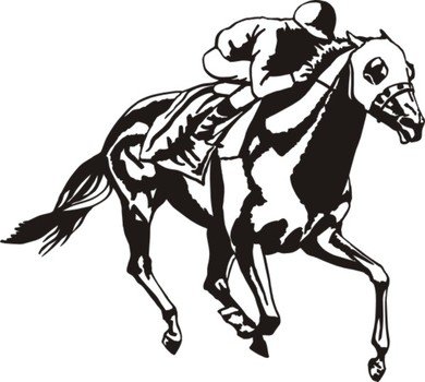 Race Horse M310518 $400 Custom Vinyl Stickers Decals For Cars