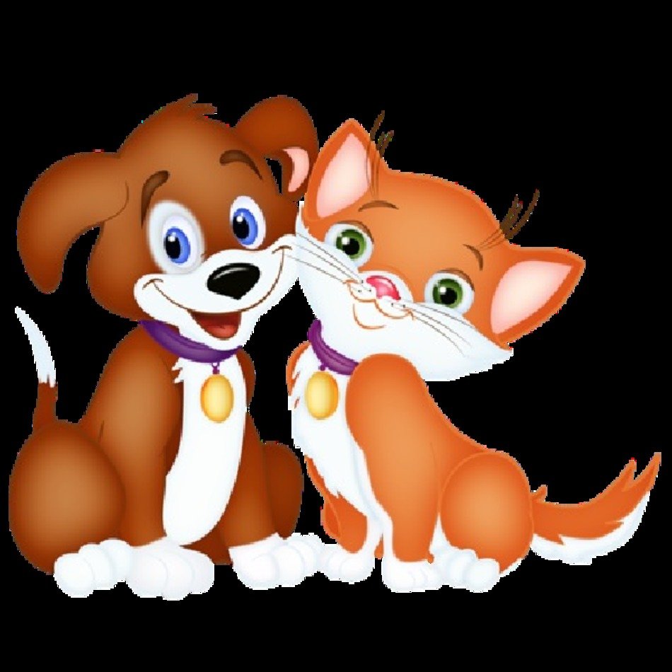 Cat And Dog Cartoon Pictures