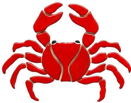 Sea Crabs Pictures Homedepotxcom