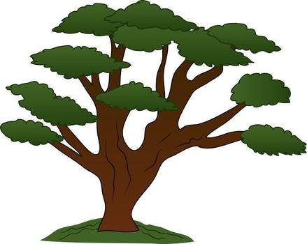 Free Oak Tree Silhouette Best