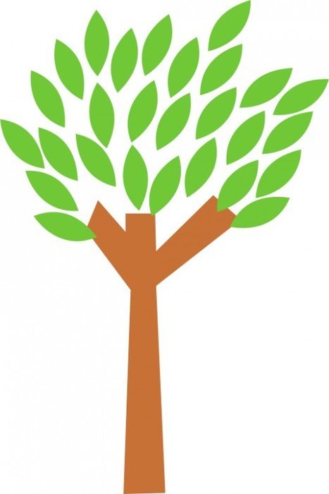 Leaves On Trees N2