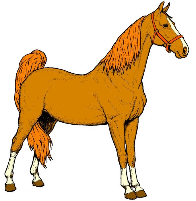 Coney Dog clipart