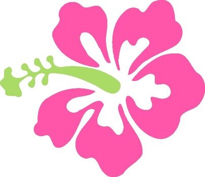 Pink Green Hibiscus At Clkercom Vector Online