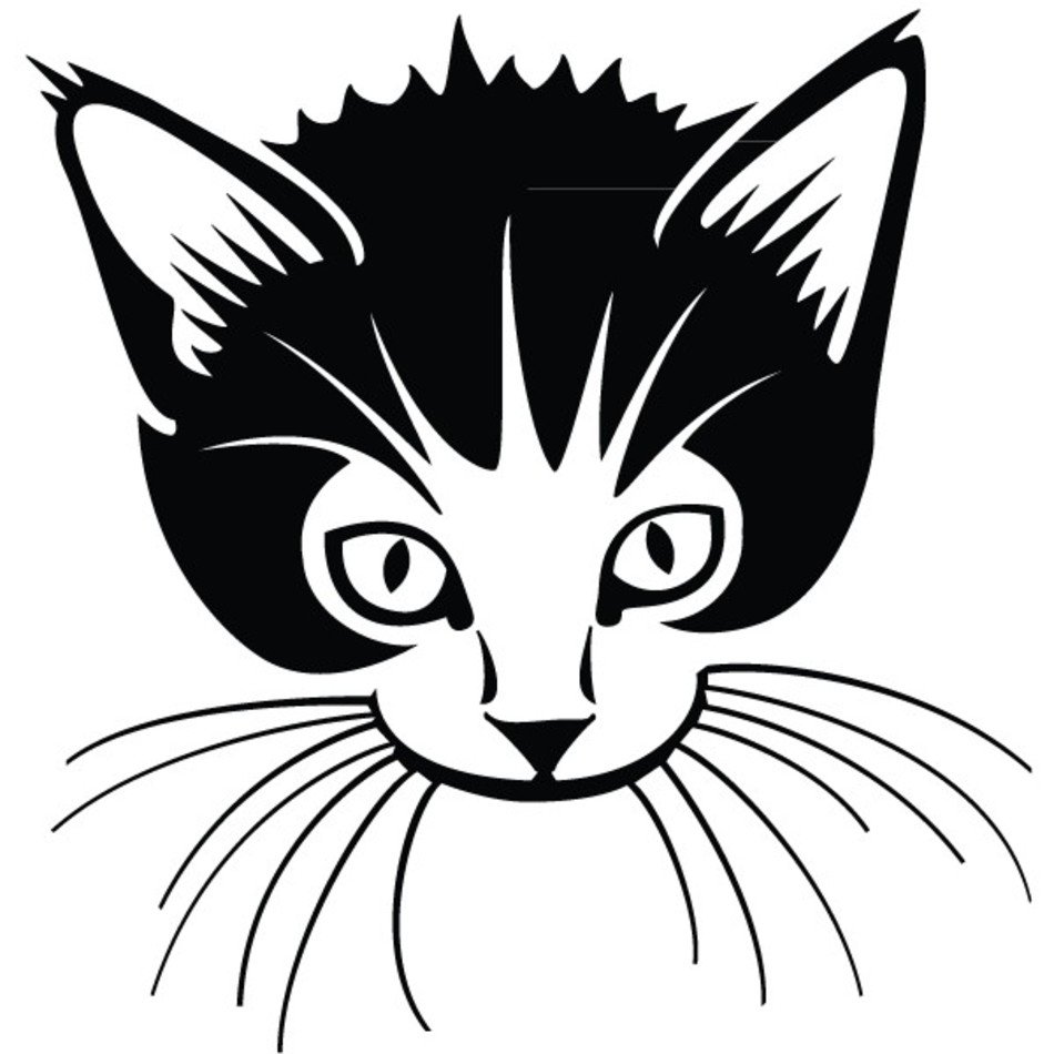 Sticker Mural Chat