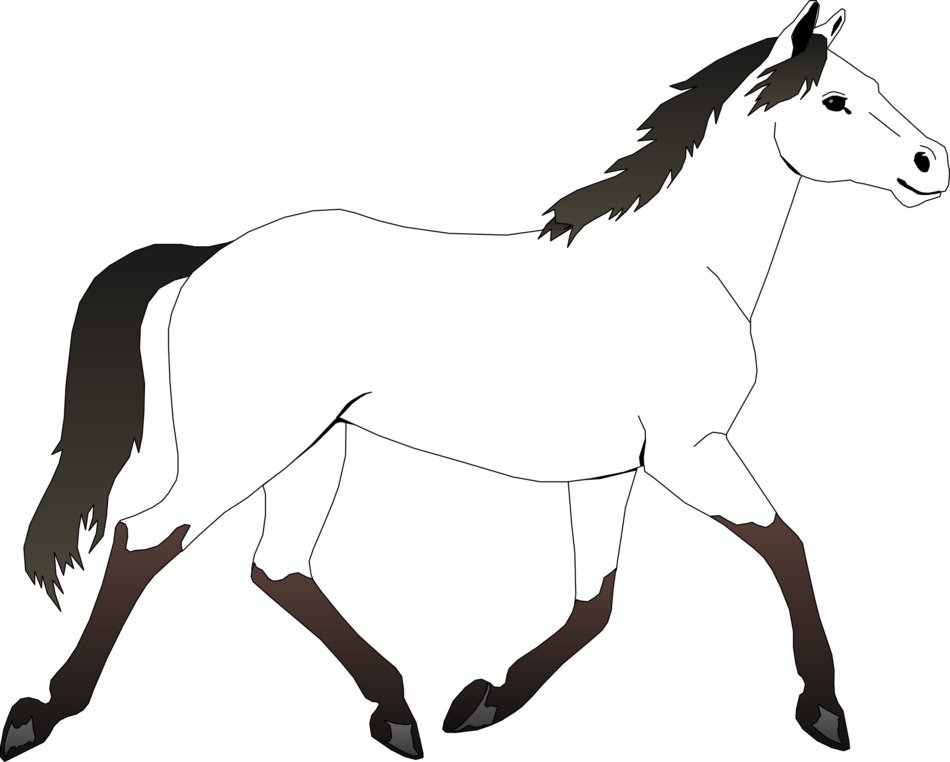 fancy drawn horse